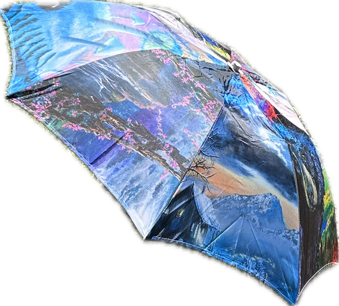 Umbrellas | Rain or Sun