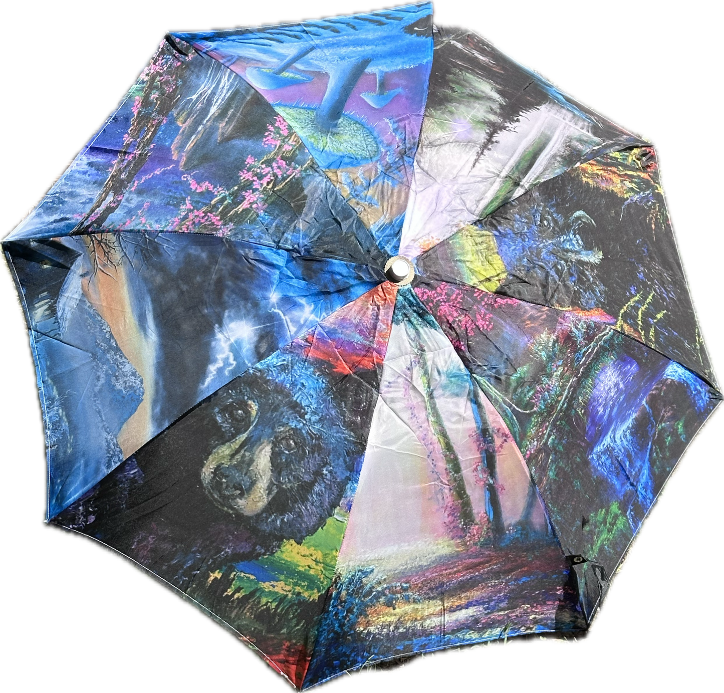 Umbrellas | Rain or Sun