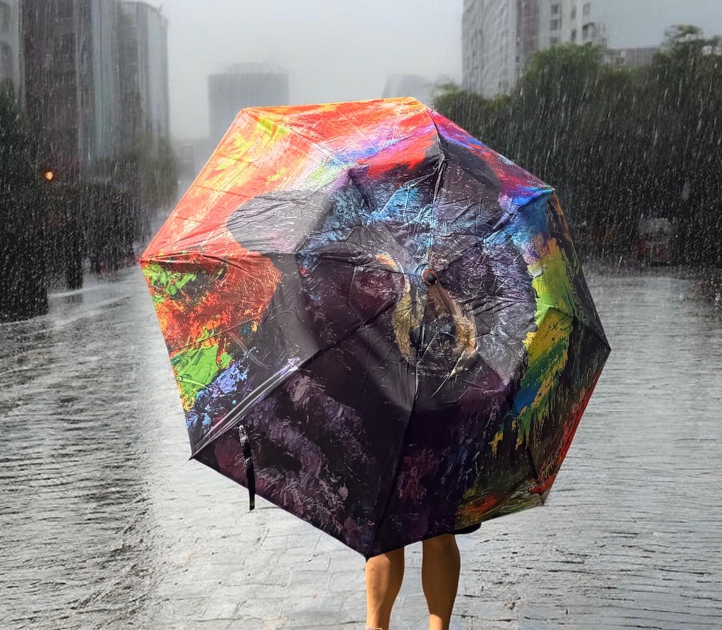 Umbrellas | Rain or Sun